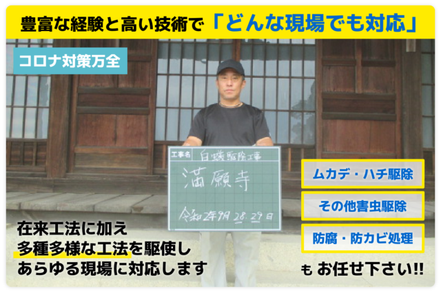 豊富な経験と高い技術でどんな現場も対応。ムカデ・ハチ駆除。害虫駆除。お任せください！